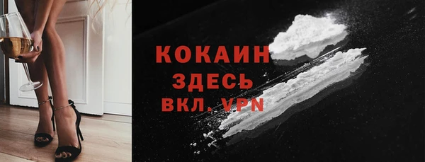 прущий лед Алзамай