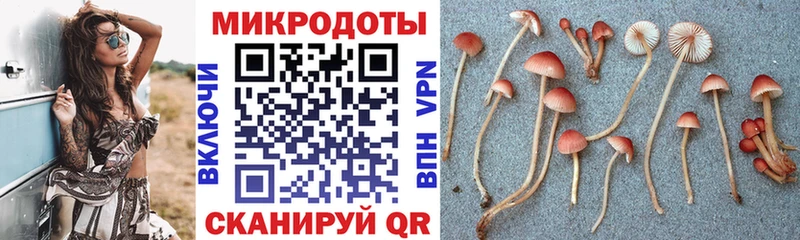 Псилоцибиновые грибы прущие грибы  купить наркотик  Льгов 